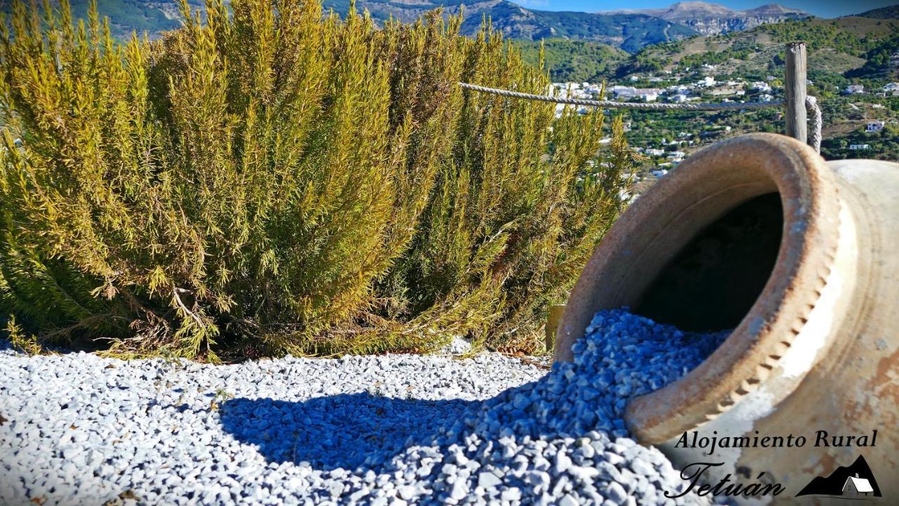 Alojamiento Rural Tetuan Árchez Εξωτερικό φωτογραφία